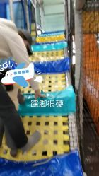 -泡泡米POPOME益智乐园(洪殿花园旗舰店)