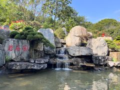 -东莞植物园