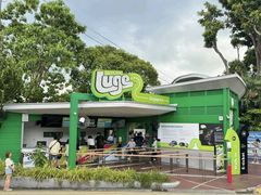 -圣淘沙天际线斜坡滑车