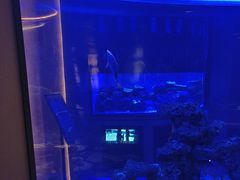 -上和臻品中国菜(花园街店)