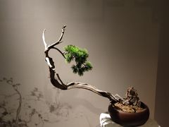 -辽宁省博物馆
