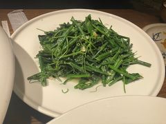 -鸽子窝(黄村店)