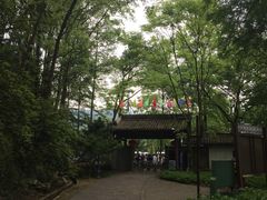 -灵栖洞天