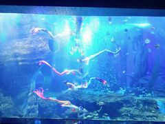 -多彩贵州城极地海洋世界