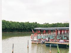 -大湾区中央湿地公园