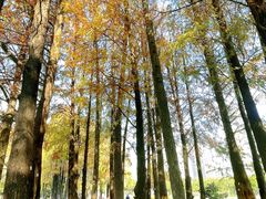 -四海公园(南山区)