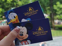 -上海迪士尼度假区