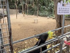 -厦门悦华酒店