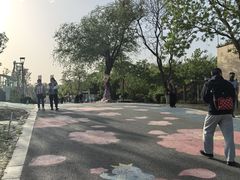 -七桥瓮公园