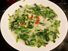 鸽汤万年青-大鸽饭(北京路店)