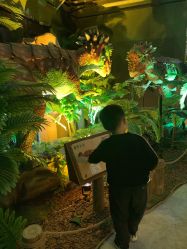 -恐龙探索乐园(磁器口店)