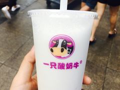 -一只酸奶牛(八一路店)