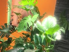 -泰古龙抓龙筋·spa按摩(静安店)