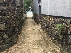 -桑洲油菜花景区