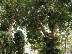 -北京植物园-展览温室