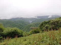 -关山草原