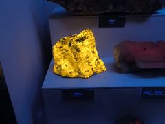 -湖南省地质博物馆