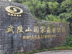 -武陵山森林公园
