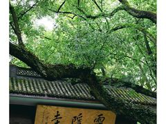 -灵隐飞来峰景区