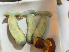-蘑统田下·野生菌火锅