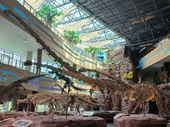 -安徽省地质博物馆