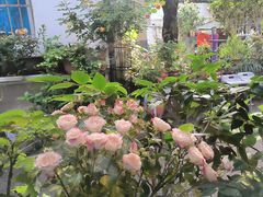 -家烧面馆【南山路知名经典面食】