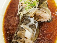 珍珠斑-龙悦湾酒家·八阵鱼生·渔人码头店
