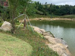 -鼓岭旅游度假区