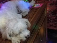 -蓝乐光量贩KTV(浦东禹悦汇店)