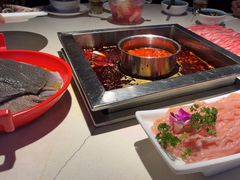 -二荆条·蜀鲜汇城市森林火锅