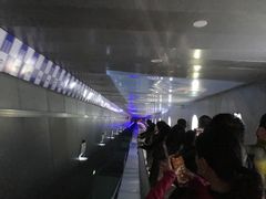 -白鹤梁水下博物馆