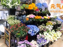 -ChaKo Flora ·茶子花艺 (市北店)