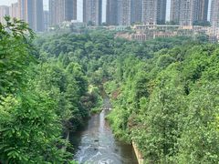 -重庆彩云湖湿地公园