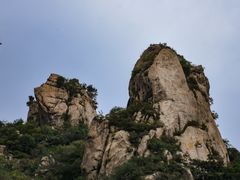 -大岭沟猕猴桃谷风景区