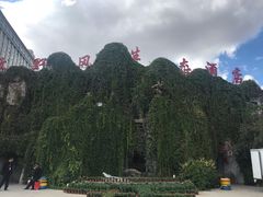 -兴芮温泉度假区