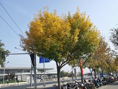 -陕味食族油泼面·小炒盖码面(双榆树店)