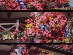 -思南公馆