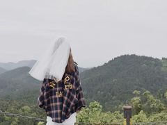 -武陵山森林公园