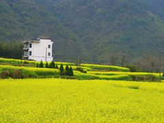 -新安江山水画廊风景区
