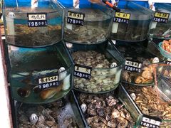 -烁佳海鲜大馅饺子