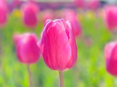 -长春公园(普阳街道)