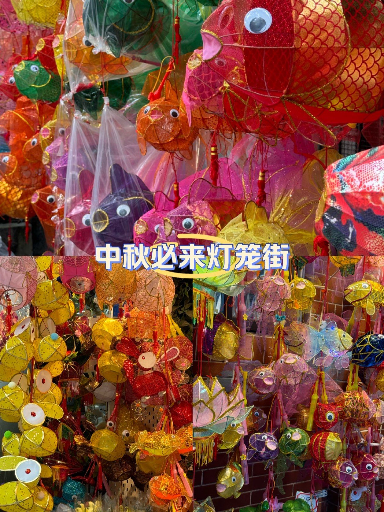 ?中秋节到啦来灯笼街打卡咯