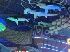 -烟台海昌鲸鲨海洋公园