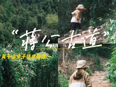 -莫干山风景区