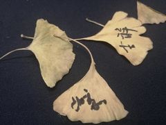-灵山吉祥颂