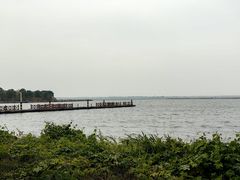 -莲花岛景区