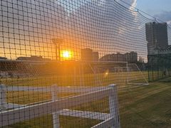 -江湾体育中心游泳馆