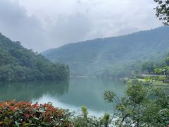-桃花岭景区