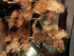 -百富源·海鲜辽菜(浑河堡店)