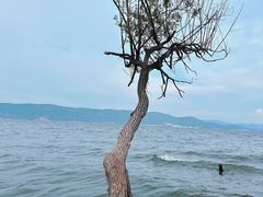 -大理洱海